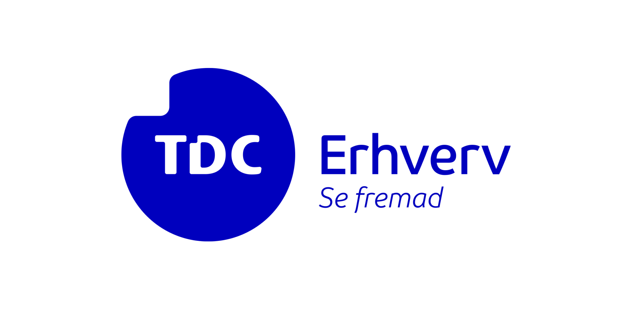 TDC Erhverv Logo Digital Blue Rgb (3)